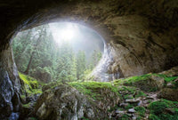 Wizard+Genius Cave In The Forest Vlies Fotobehang 384x260cm 8 banen | Yourdecoration.be