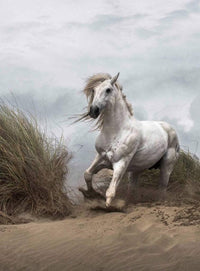 Wizard+Genius White Wild Horse Vlies Fotobehang 192x260cm 4 banen | Yourdecoration.be