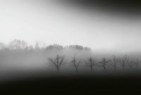 Wizard+Genius Foggy Landscape Vlies Fotobehang 384x260cm 8 banen | Yourdecoration.be