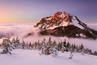 Wizard+Genius Snowy Mountain Peak Vlies Fotobehang 384x260cm 8 banen | Yourdecoration.be