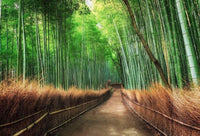 Wizard+Genius Bamboo Grove Kyoto Vlies Fotobehang 384x260cm 8 banen | Yourdecoration.be