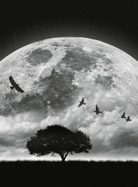 Wizard+Genius Moon and Birds Vlies Fotobehang 192x260cm 4 banen | Yourdecoration.be