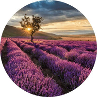Wizard+Genius Lavender in the Provence Vlies Fotobehang 140x140cm rond | Yourdecoration.be