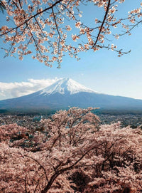 Wizard+Genius Mount Fuji in Japan Vlies Fotobehang 192x260cm 4 banen | Yourdecoration.be
