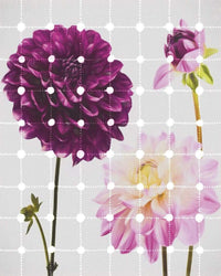 Komar Flowers and Dots Vlies Fotobehang 200x250cm 2 banen | Yourdecoration.be