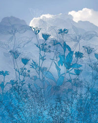 Komar Blue Sky Vlies Fotobehang 200x250cm 2 banen | Yourdecoration.be