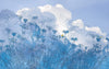 Komar Blue Sky Vlies Fotobehang 400x250cm 4 banen | Yourdecoration.be