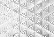 Komar Delta Fotobehang 368x254cm | Yourdecoration.be