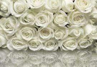 Komar A la Rose Fotobehang 368x254cm | Yourdecoration.be
