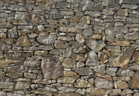 Komar Stone Wall Fotobehang 368x254cm | Yourdecoration.be