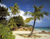 Komar Praslin Fotobehang 368x254cm | Yourdecoration.be