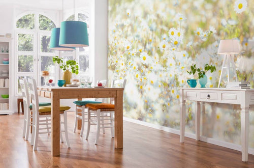 Komar Daisies Fotobehang 368x254cm | Yourdecoration.be