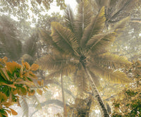 Komar Palms Panorama Vlies Fotobehang 300x250cm 3 banen | Yourdecoration.be