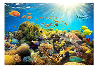 Artgeist Underwater Land Vlies Fotobehang | Yourdecoration.be