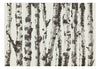 Fotobehang - Stately Birches First Variant - Vliesbehang