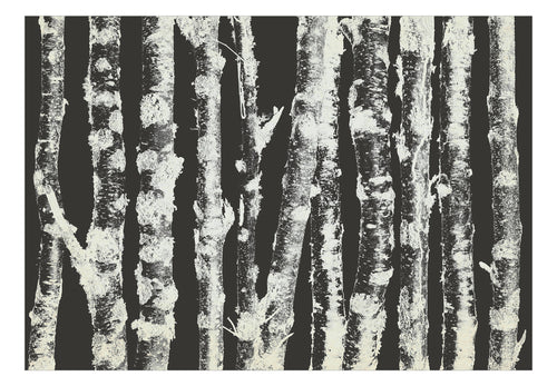 Fotobehang - Stately Birches Second Variant - Vliesbehang