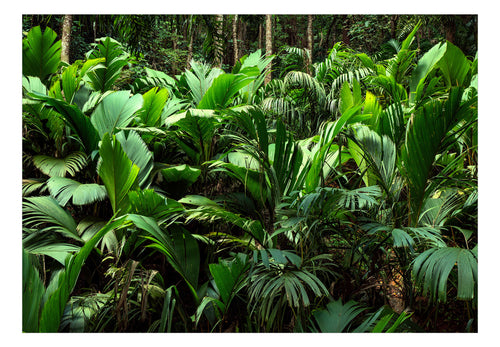 Fotobehang - Freshness of the Jungle - Vliesbehang