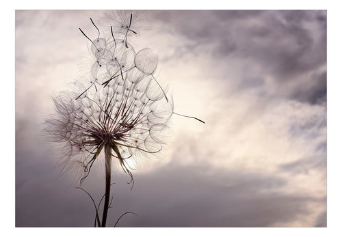 Fotobehang - Gentle Wind - Vliesbehang