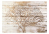 Fotobehang - Tree on Boards - Vliesbehang