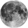 Komar Moon Fotobehang 125x125cm Rond | Yourdecoration.be