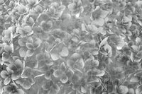 Dimex Apple Tree Abstract III Fotobehang 375x250cm 5 banen | Yourdecoration.be
