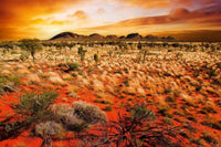 Dimex Australian Landscape Fotobehang 375x250cm 5 banen | Yourdecoration.be