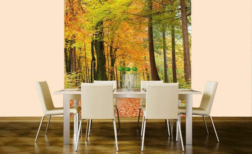 Dimex Autumn Forest Fotobehang 225x250cm 3 banen Sfeer | Yourdecoration.nl