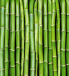 Dimex Bamboo Fotobehang 225x250cm 3 banen | Yourdecoration.be