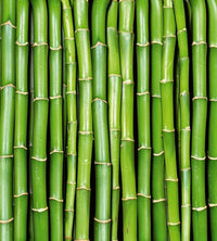 Dimex Bamboo Fotobehang 225x250cm 3 banen | Yourdecoration.be