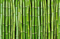 Dimex Bamboo Fotobehang 375x250cm 5 banen | Yourdecoration.be