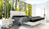 Dimex Birch Forest Fotobehang 375x250cm 5 banen Sfeer | Yourdecoration.nl