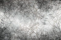 Dimex Branch Abstract Fotobehang 375x250cm 5 banen | Yourdecoration.be