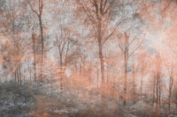 Dimex Colorful Forest Abstract Fotobehang 375x250cm 5 banen | Yourdecoration.be