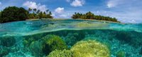 Dimex Coral Reef Fotobehang 375x150cm 5 banen | Yourdecoration.be