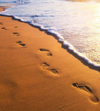 Dimex Footsteps Fotobehang 225x250cm 3 banen | Yourdecoration.be