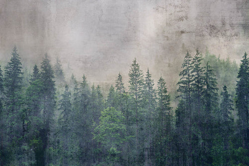 Dimex Forest Abstract Fotobehang 375x250cm 5 banen | Yourdecoration.be