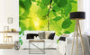 Dimex Green Leaves Fotobehang 375x250cm 5 banen Sfeer | Yourdecoration.nl