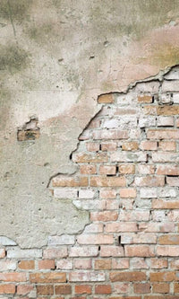 Dimex Grunge Wall Fotobehang 150x250cm 2 banen | Yourdecoration.be