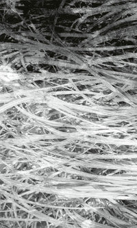 Dimex Hay Abstract II Fotobehang 150x250cm 2 banen | Yourdecoration.be