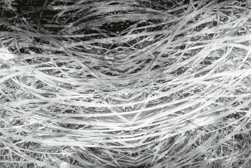 Dimex Hay Abstract II Fotobehang 375x250cm 5 banen | Yourdecoration.be