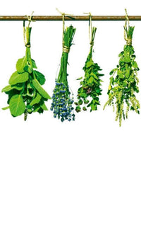 Dimex Herbs Fotobehang 150x250cm 2 banen | Yourdecoration.be