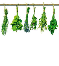 Dimex Herbs Fotobehang 225x250cm 3 banen | Yourdecoration.be