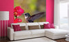 Dimex Hummingbird Fotobehang 225x250cm 3 banen Sfeer | Yourdecoration.nl