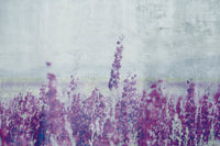 Dimex Lavender Abstract Fotobehang 375x250cm 5 banen | Yourdecoration.be