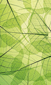 Dimex Leaf Veins Fotobehang 150x250cm 2 banen | Yourdecoration.be