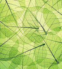 Dimex Leaf Veins Fotobehang 225x250cm 3 banen | Yourdecoration.be
