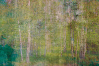 Dimex Leaves Abstract Fotobehang 375x250cm 5 banen | Yourdecoration.be