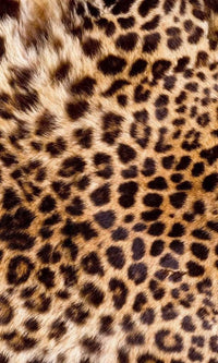 Dimex Leopard Skin Fotobehang 150x250cm 2 banen | Yourdecoration.be