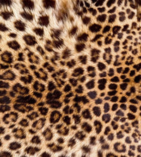Dimex Leopard Skin Fotobehang 225x250cm 3 banen | Yourdecoration.be