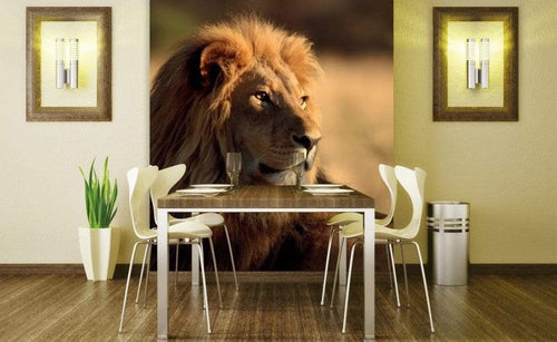 Dimex Lion Fotobehang 225x250cm 3 banen Sfeer | Yourdecoration.nl